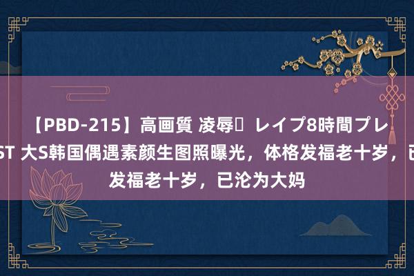 【PBD-215】高画質 凌辱・レイプ8時間プレミアムBEST 大S韩国偶遇素颜生图照曝光，体格发福老十岁，已沦为大妈