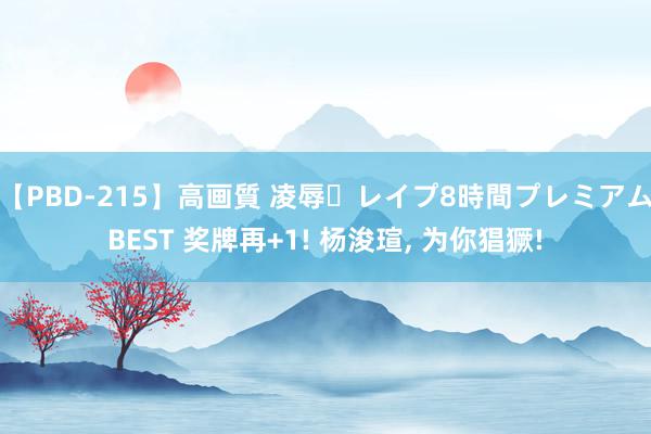 【PBD-215】高画質 凌辱・レイプ8時間プレミアムBEST 奖牌再+1! 杨浚瑄, 为你猖獗!