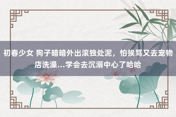 初春少女 狗子暗暗外出滚独处泥，怕挨骂又去宠物店洗澡...学会去沉溺中心了哈哈