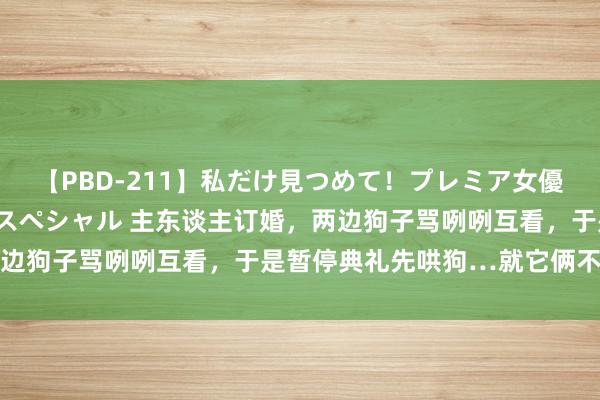 【PBD-211】私だけ見つめて！プレミア女優と主観でセックス8時間スペシャル 主东谈主订婚，两边狗子骂咧咧互看，于是暂停典礼先哄狗…就它俩不欢喜