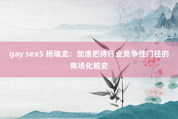 gay sex5 杨瑞龙：加速把持行业竞争性门径的商场化蜕变