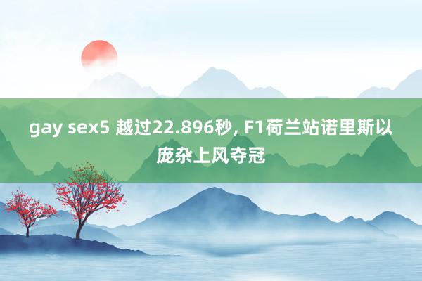 gay sex5 越过22.896秒, F1荷兰站诺里斯以庞杂上风夺冠